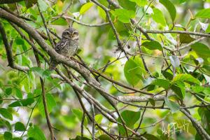 Thiruvananthapuram, Kerala, India