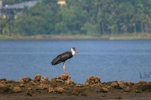 Kollam, Kerala, India