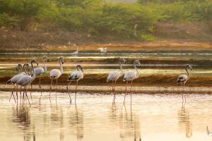 Kanniyakumari, Tamil Nadu, India